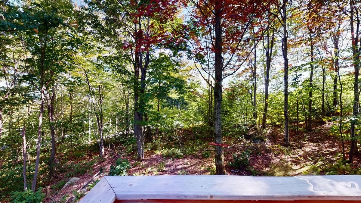 This image presents a woodland view with lush green trees and autumn foliage, highlighting the serene, natural environment around the property. The inviting path suggests easy access to trails and seasonal outdoor activities such as hiking and birdwatching.